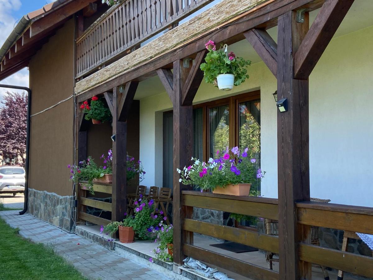 Pensiunea Rares Bistrita Bargaului Zewnętrze zdjęcie